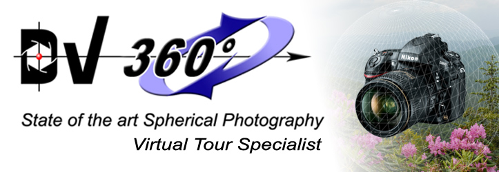 DV Digital logo and page banner