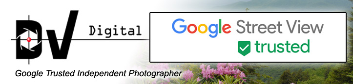 DV Digital logo and page banner