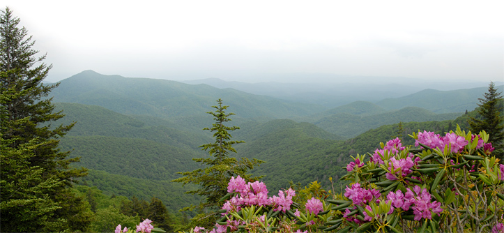 smoky mountains panorama